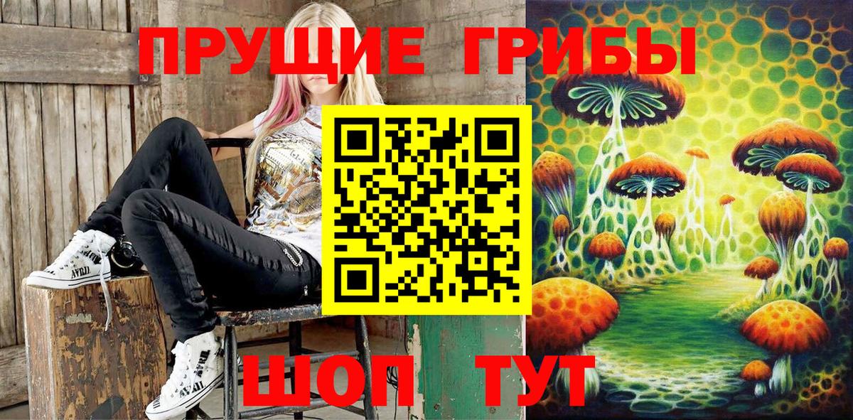 Псилоцибиновые грибы Psilocybe Ульяновск